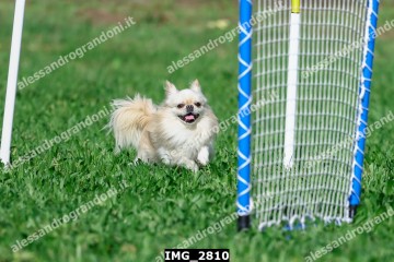 IMG_2810.jpg