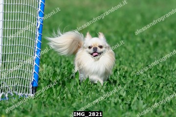 IMG_2821.jpg