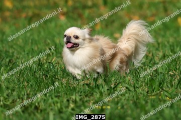 IMG_2875.jpg