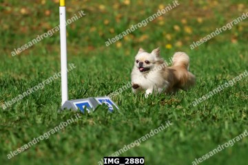 IMG_2880.jpg