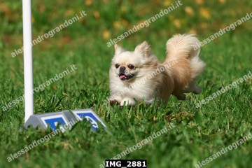IMG_2881.jpg