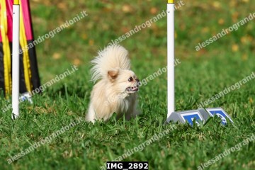 IMG_2892.jpg