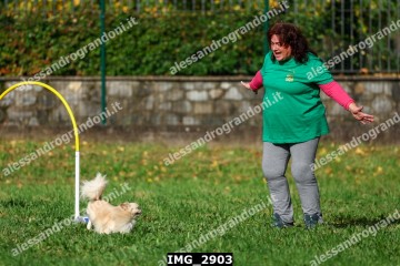 IMG_2903.jpg