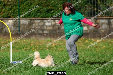 IMG_2908.jpg