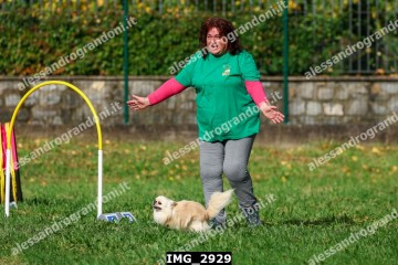 IMG_2929.jpg