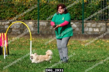 IMG_2931.jpg