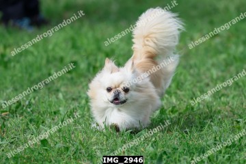 IMG_2946.jpg