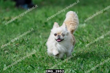 IMG_2952.jpg