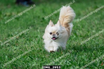 IMG_2953.jpg