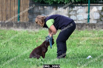 IMG_3083.jpg