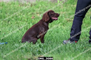 IMG_3086.jpg