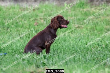 IMG_3089.jpg