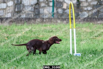 IMG_3100.jpg