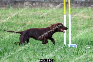 IMG_3101.jpg