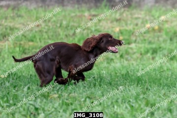 IMG_3108.jpg