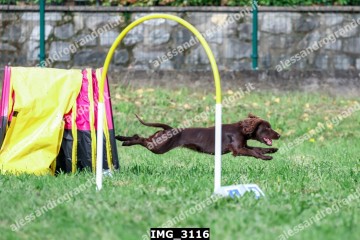 IMG_3116.jpg
