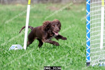 IMG_3136.jpg