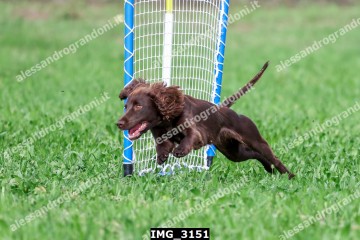 IMG_3151.jpg