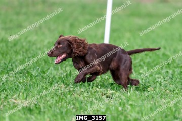 IMG_3157.jpg