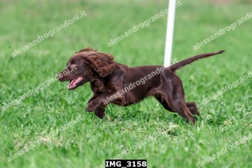 IMG_3158.jpg