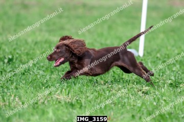 IMG_3159.jpg