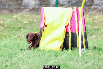 IMG_3191.jpg