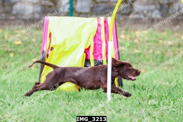IMG_3213.jpg