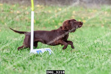 IMG_3218.jpg