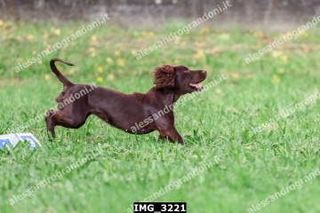 IMG_3221.jpg