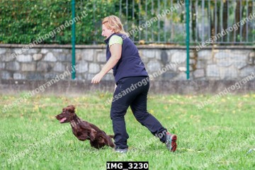 IMG_3230.jpg