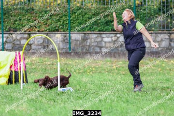 IMG_3234.jpg