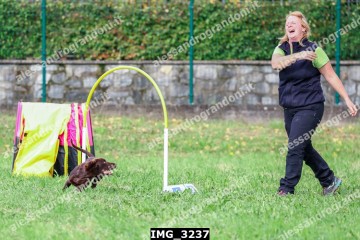 IMG_3237.jpg
