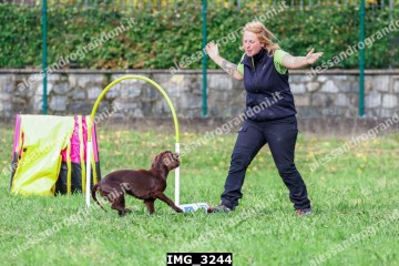IMG_3244.jpg