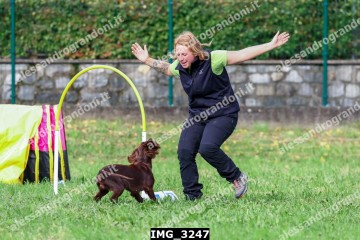 IMG_3247.jpg