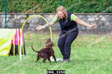 IMG_3250.jpg