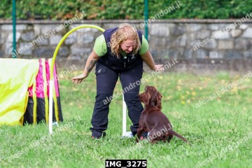 IMG_3275.jpg