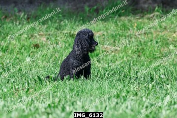 IMG_6132.jpg
