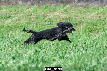 IMG_6138.jpg