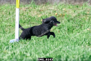 IMG_6143.jpg
