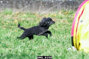 IMG_6150.jpg