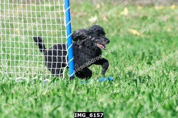 IMG_6157.jpg