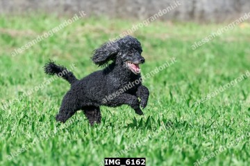 IMG_6162.jpg