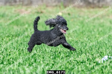IMG_6171.jpg