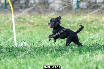 IMG_6302.jpg