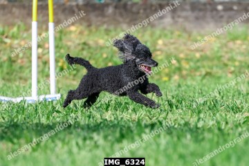 IMG_6324.jpg