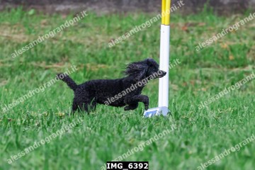 IMG_6392.jpg