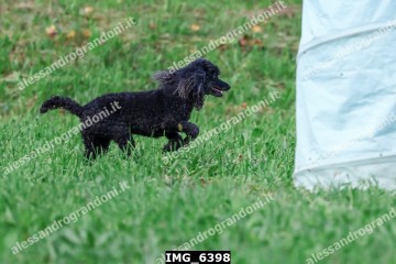 IMG_6398.jpg