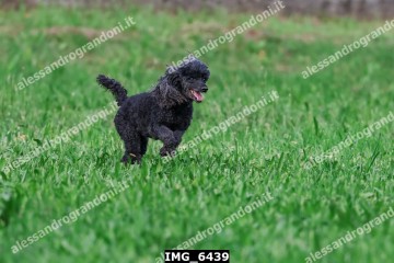 IMG_6439.jpg