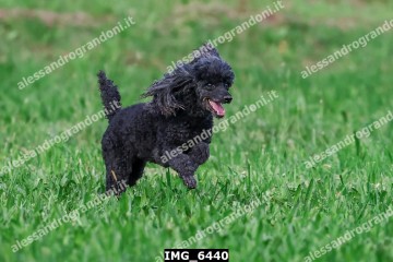 IMG_6440.jpg