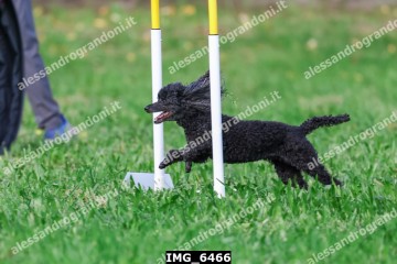 IMG_6466.jpg